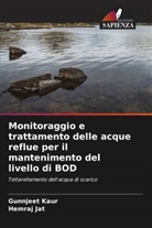 Hemraj Jat, Gunnjeet Kaur - Monitoraggio e trattamento delle acque reflue per il mantenimento del livello di BOD
