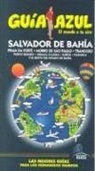 Ángel Ingelmo Sánchez, Luis Mazarrasa Mowinckel, Manuel Monreal Iglesia - Salvador de Bahía