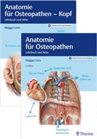 Magga Corts - Set Anatomie für Osteopathen