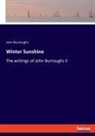 John Burroughs - Winter Sunshine
