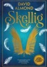 David Almond - Skellig