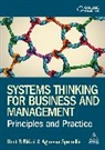 Umit S Bititci, Umit S. Bititci, Agnessa Spanellis - Systems Thinking for Business and Management