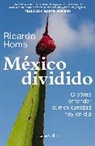Ricardo Homs - México dividido