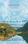 John Barnie - Dunes of Cwm Rheidol