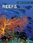 Peter Mavrikis - Reefs