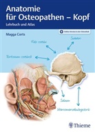 Magga Corts, Margarethe Corts - Anatomie für Osteopathen - Kopf