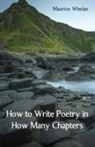 Maurice Whelan - How to Write Poetry in How Many Chapters