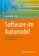 Fabian Wolf - Software im Automobil
