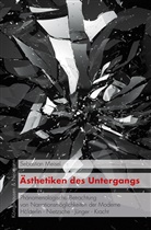 Sebastian Meisel - Ästhetiken des Untergangs