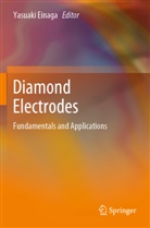Yasuaki Einaga - Diamond Electrodes