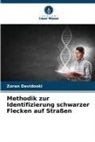Zoran Davidoski - Methodik zur Identifizierung schwarzer Flecken auf Straßen
