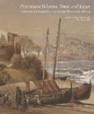 Sue Rainey - Picturesque Palestine, Sinai and Egypt