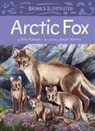 Brian Koonoo, Joseph Starkey, Joseph Starky - Animals Illustrated: Arctic Fox