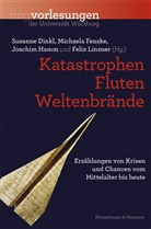 Susanne Dinkl, Michaela Fenske, Joachim Hamm, Joachim Hamm u a, Felix Linzner - Katastrophen, Fluten, Weltenbrände
