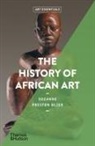 Suzanne Preston Blier, Suzanne Preston Blier - The History of African Art