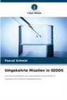 Pascal Schmid - Umgekehrte Mizellen in SEDDS