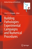 J. M. P. Q. Delgado, J M P Q Delgado - Building Pathologies: Experimental Campaigns and Numerical Procedures