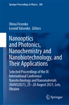 Olena Fesenko, Yatsenko, Leonid Yatsenko - Nanooptics and Photonics, Nanochemistry and Nanobiotechnology, and Their Applications
