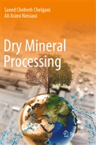 Ali Asimi Neisiani, Saeed Chehreh Chelgani - Dry Mineral Processing