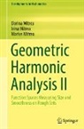 Dorina Mitrea, Irina Mitrea, Marius Mitrea - Geometric Harmonic Analysis II