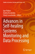 Andriy Kovalenko, Vitaly Levashenko, Igor Ruban - Advances in Self-healing Systems Monitoring and Data Processing