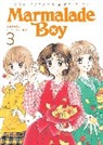 Wataru Yoshizumi - Marmalade Boy: Collector's Edition 3