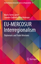 Lourdes Gabriel Daza Aramayo, Lourdes Gabriela Daza Aramayo, Mario Torres Jarrín - EU-MERCOSUR Interregionalism