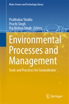 Raj Mohan Singh, Prabhakar Shukla, Prachi Singh, Raj Mohan Singh - Environmental Processes and Management