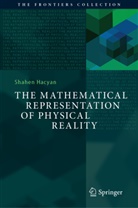 Shahen Hacyan - The Mathematical Representation of Physical Reality