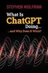 S Wolfram, Stephen Wolfram - What is Chatgpt doing why does it work