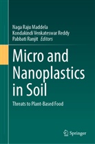 Naga Raju Maddela, Pabbati Ranjit, Kondakindi Venkateswar Reddy, Kondakindi Venkateswar Reddy - Micro and Nanoplastics in Soil