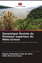 Célia Alves de Souza, Edenio Sebastião Faria da Silva - Dynamique fluviale du Pantanal supérieur du Mato Grosso