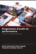 Yoandra González García, Reina Mercedes Pérez Aguila - Programme d'audit de performance