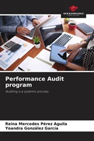 Yoandra González García, Reina Mercedes Pérez Aguila - Performance Audit program