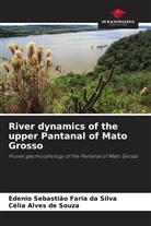 Célia Alves de Souza, Edenio Sebastião Faria da Silva - River dynamics of the upper Pantanal of Mato Grosso