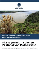 Célia A de Souza, Célia Alves de Souza, Edenio Sebastião Faria da Silva - Flussdynamik im oberen Pantanal von Mato Grosso