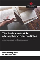 Flávia Marquezini, M. Cristina Solci - The ionic content in atmospheric fine particles