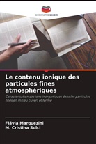 Flávia Marquezini, M. Cristina Solci - Le contenu ionique des particules fines atmosphériques