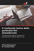 Flávia Marquezini, M. Cristina Solci - Il contenuto ionico delle particelle fini atmosferiche