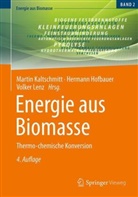 Kaltschmitt, Hermann Hofbauer, Martin Kaltschmitt, Volker Lenz - Energie aus Biomasse