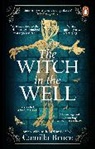 Camilla Bruce - The Witch in the Well