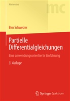 Ben Schweizer - Partielle Differentialgleichungen