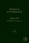 Zip Metal Ion Transporters