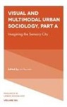 Luc Pauwels, Luc (University of Antwerp Pauwels - Visual and Multimodal Urban Sociology