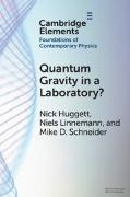 Nick Huggett, Nick (University of Illinois Huggett,  Huggett Nick, Niels Linnemann, Niels (Universite de Geneve) Linnemann, Mike D Schneider... - Quantum Gravity in a Laboratory?
