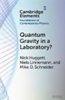 Nick Huggett, Nick (University of Illinois Huggett, Huggett Nick, Niels Linnemann, Niels (Universite de Geneve) Linnemann, Mike D Schneider... - Quantum Gravity in a Laboratory?