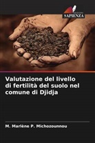 M. Marlène P. Michozounnou - Valutazione del livello di fertilità del suolo nel comune di Djidja