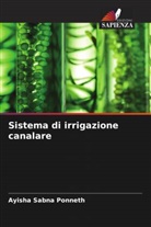 Ayisha Sabna Ponneth - Sistema di irrigazione canalare