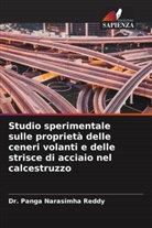Dr. Panga Narasimha Reddy, Panga Narasimha Reddy - Studio sperimentale sulle proprietà delle ceneri volanti e delle strisce di acciaio nel calcestruzzo