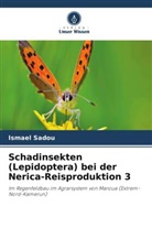 Ismael Sadou - Schadinsekten (Lepidoptera) bei der Nerica-Reisproduktion 3